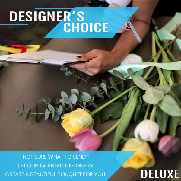 designers-choice-deluxe